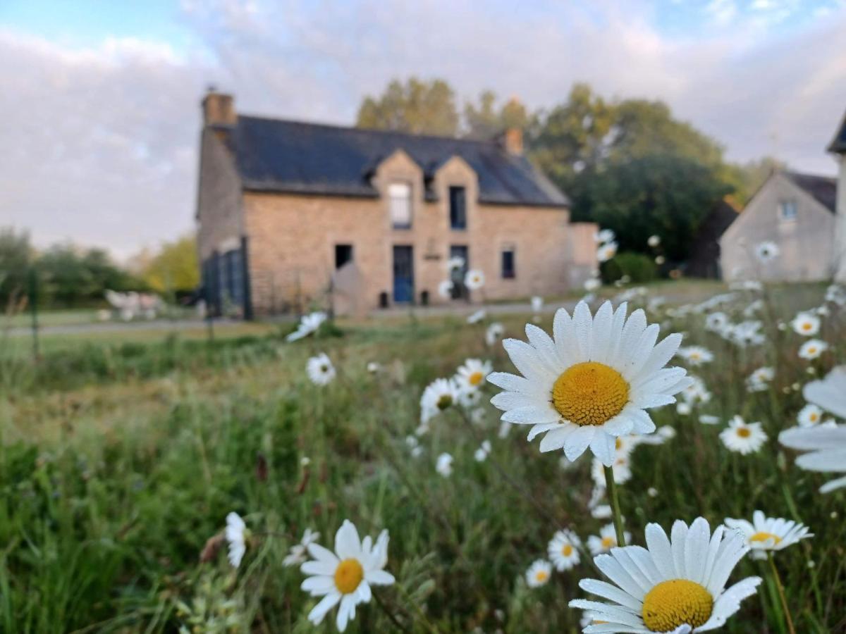 Bed and Breakfast Au Petit Bonheur De Claire Et Jo La Chapelle-Caro Exterior foto